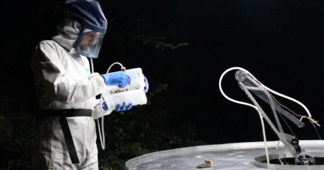 An Ant Ballet at FutureEverything 59k