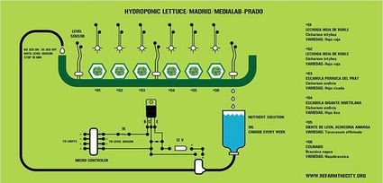 0aahydroponio.jpg