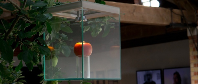 The apples literally infected with knowledge 49k