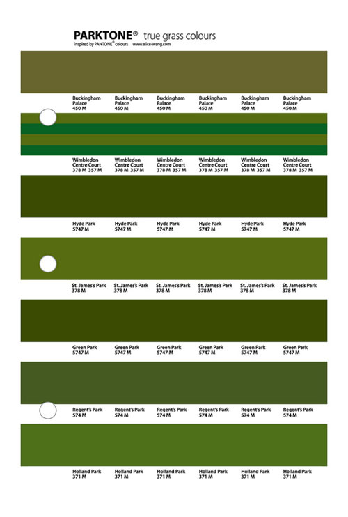 Grass Color