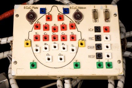 0eeg6_brains-at-wellcome.jpg