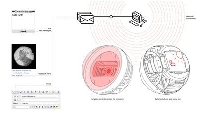 5_tardigotchi5.jpg