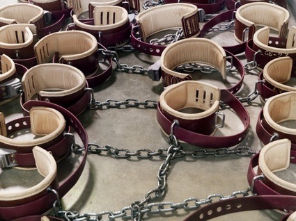 Day-29-chains.jpg
