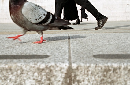 MattStuart_TrafalgarSquare.jpg