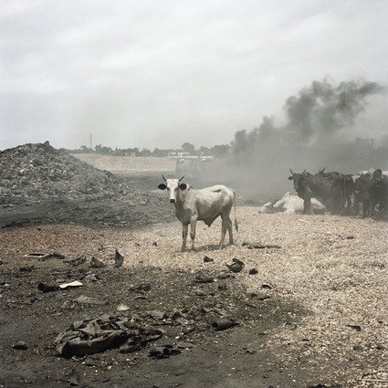 Pieter Hugo 7 .jpg