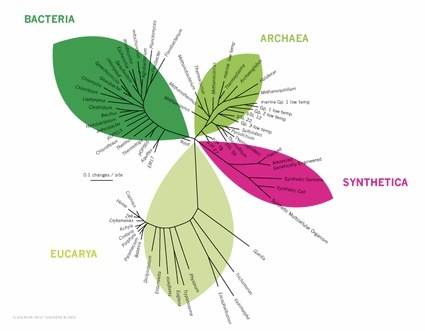 SyntheticKingdom_TreeofLIfe.jpg