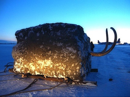 jarkov_decouvert_dans_son_bloc_de_glace2.jpg