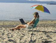 Laptop_beach[1].gif