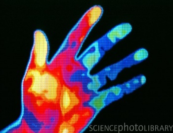 M370225-Thermogram_of_a_smokers_hand-SPL[1].jpg
