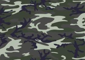 camouflage[1].jpg