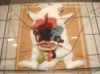 0rabbitswere.jpg