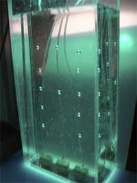 bubble screen