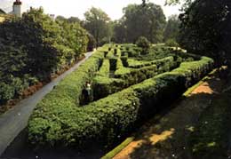 hampmaze[1].jpg